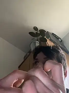 UnitedMap1 online show from March 2026 04:12:02 PM