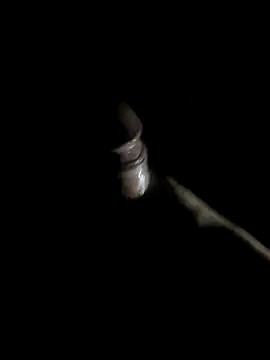 -bunny06 online show from October 2025 09:52:01 AM