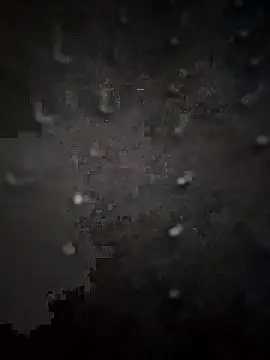 PEEHU-50 online show from January 2026 01:55:02 AM