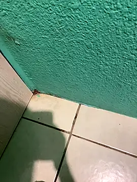 feetbooy online show from December 2025 12:18:02 AM