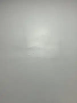 Snapshot of LAngel21 chatting on December 2025 04:18:02 AM LAngel21 online show from December 2025 04:18:02 AM