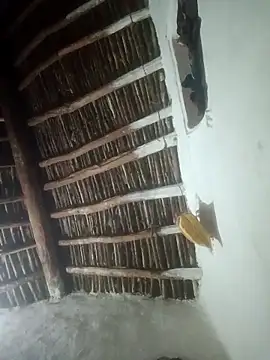 LOVE-VIKA online show from February 2026 01:19:02 PM