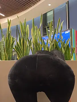 Snapshot of ilariea_girl chatting on February 2026 05:07:02 PM ilariea girl online show from February 2026 05:07:02 PM