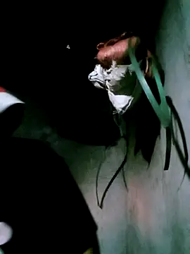 bae-bae online show from November 2025 11:22:01 AM