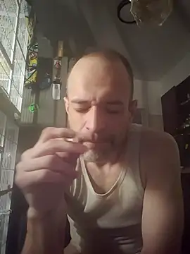 Snapshot of Curious9884 chatting on November 2025 05:28:02 PM Curious9884 online show from November 2025 05:28:02 PM