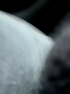 pleasedontpressaredburton online show from October 2025 02:29:02 PM