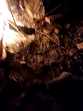 Sikici0734 online show from October 2025 05:21:02 PM