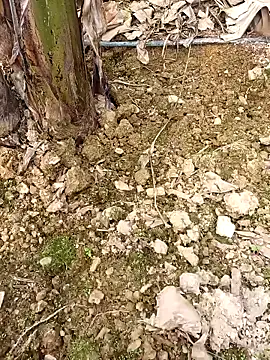 Sikici0734 online show from February 2026 09:40:01 AM