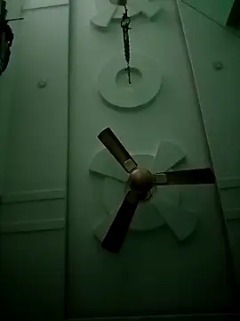 Snapshot of supcpl chatting on November 2025 05:46:02 PM supcpl online show from November 2025 05:46:02 PM