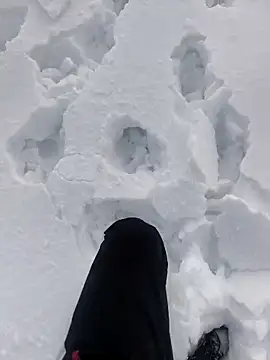 Sert erkek21 ysm online show from January 2026 01:15:02 PM