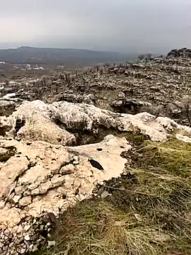 Sert erkek21 ysm online show from February 2026 10:03:02 AM