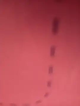 herz19033 online show from October 2025 06:09:01 PM