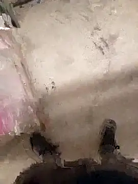 herz19033 online show from November 2025 12:17:01 PM