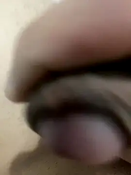 leiteiro2002 online show from December 2025 11:37:01 AM