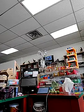 Cassaroll333 online show from November 2025 05:28:02 PM