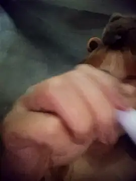 Rabbit-small online show from March 2026 04:12:01 PM