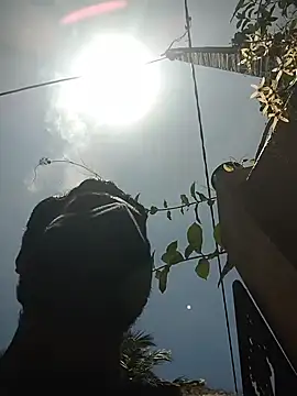 SL BEAR online show from April 2026 06:46:01 AM