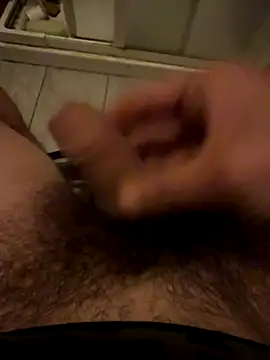 Snapshot of Theanimals chatting on November 2025 11:49:02 PM Theanimals online show from November 2025 11:49:02 PM