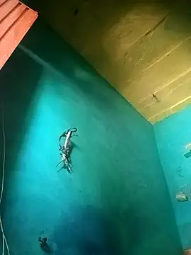 Snapshot of Rt_shreya chatting on November 2025 06:45:02 AM Rt shreya online show from November 2025 06:45:02 AM