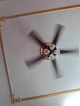 Snapshot of Dr_Bangla chatting on November 2025 05:42:01 AM Dr Bangla online show from November 2025 05:42:01 AM