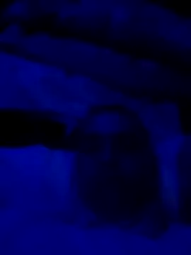 Snapshot of sexdol2 chatting on March 2026 09:13:01 AM sexdol2 online show from March 2026 09:13:01 AM