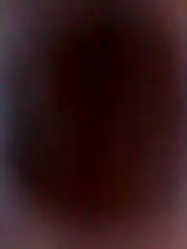 DankNewcomer online show from October 2025 02:18:02 PM