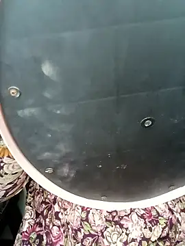 Marathi gavtami online show from January 2026 06:48:02 AM