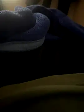 Snapshot of Satish_vs1234 chatting on November 2025 04:44:02 AM Satish vs1234 online show from November 2025 04:44:02 AM