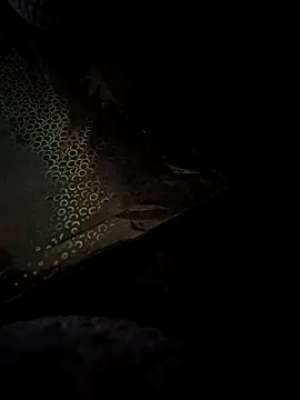 crawlerdrill online show from May 2026 09:14:02 AM