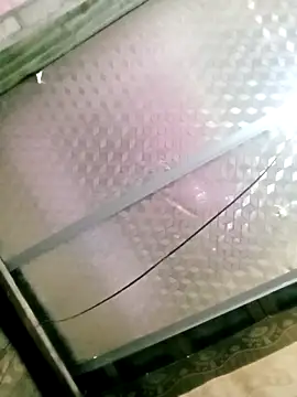 SansanCii online show from November 2025 12:13:01 PM