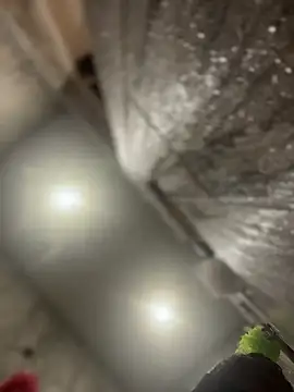 queenkelly1234 online show from February 2026 12:56:01 PM