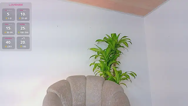 Axel Cody  online show from May 2026 01:28:02 PM