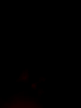 ShavenScope24 online show from December 2025 05:40:02 PM