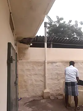 Snapshot of Vickyins480000 chatting on November 2025 03:01:02 AM Vickyins480000 online show from November 2025 03:01:02 AM