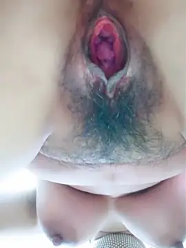 piug321 online show from November 2025 07:49:01 AM