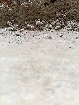 Rajni chauhan online show from March 2026 04:13:01 PM