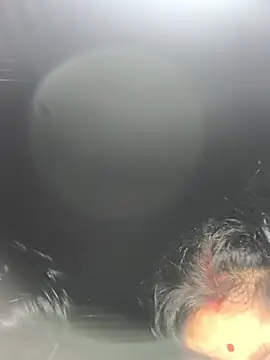 Snapshot of Ragni_bhargav chatting on January 2026 04:22:02 PM Ragni bhargav online show from January 2026 04:22:02 PM