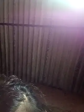 Snapshot of M-MAYA chatting on December 2025 05:41:02 PM M-MAYA online show from December 2025 05:41:02 PM