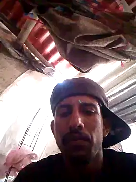 Orlao25cm online show from October 2025 08:20:02 PM