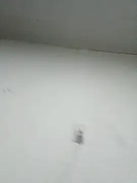 Nonname3 online show from November 2025 05:18:02 AM