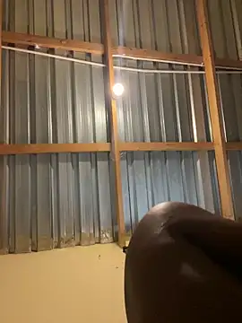 solodrive online show from February 2026 10:13:02 AM