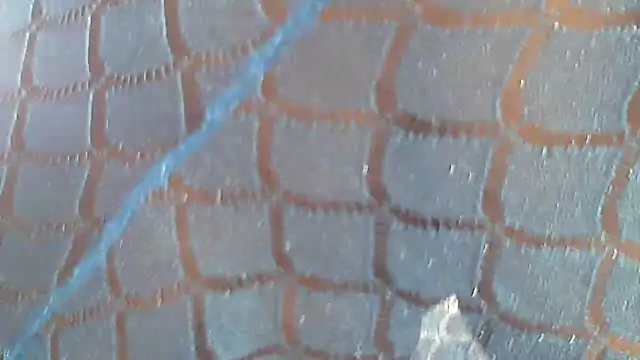 Hotcougar online show from March 2026 05:44:01 AM