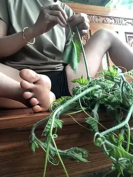 Kylie beem online show from April 2026 08:39:01 AM