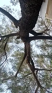 alphacloudGod online show from April 2026 01:42:02 AM