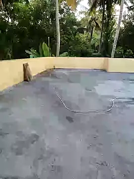 bhujaman online show from November 2025 01:07:02 AM