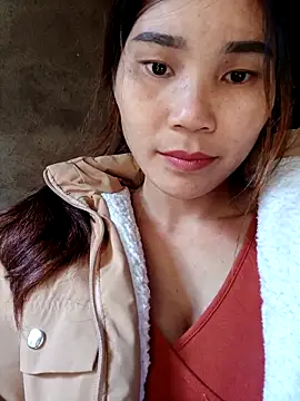 Bear bear0 online show from November 2025 03:41:01 AM