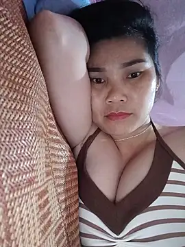 Bear bear0 online show from July 2026 05:58:01 AM