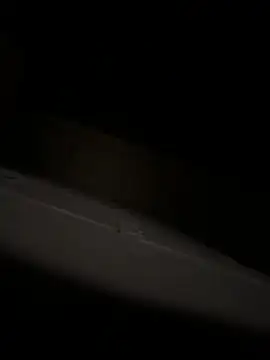 bart98geil online show from April 2026 03:15:02 AM