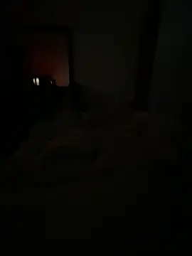 Snapshot of llllllllIIIll chatting on February 2026 04:42:01 AM llllllllIIIll online show from February 2026 04:42:01 AM