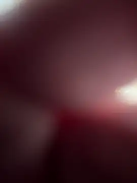 Cannavaro5 online show from November 2025 07:35:02 PM